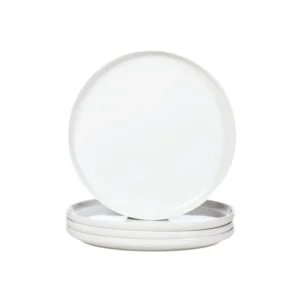 Ceramic Dinner Plates Set - 10.5 Inch Serving Plates