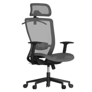 Ergonomic Mesh Office Chair Adjustable - FLEXISPOT OC3