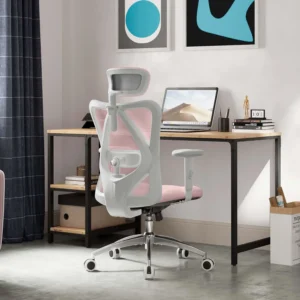 Ergonomic Office Chair with Lumbar Support | SIHOO