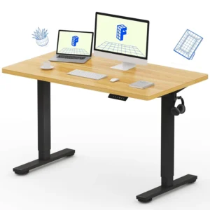 FLEXISPOT Standing Desk - Electric Sit Stand Desk 48x24