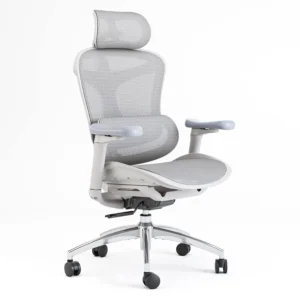 SIHOO Ergonomic Office Chair with Lumbar Support