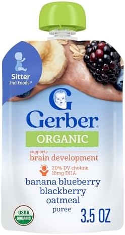 Gerber 2nd Foods Organic Oat, Banana Blueberry Blackberry MP 2, large