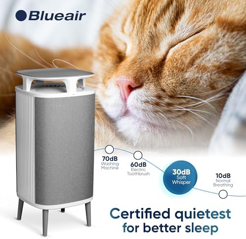 BLUEAIR Air Purifier for Rooms up to 79m²| DustMagnet 5440i - Tabletop Air Purifier for Dust, Pet Dander, Smoke, Mold, Pollen, Allergens, Odor Removal & HEPASilent