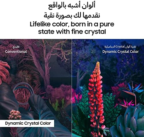 Samsung 50 Inch 4K LED HDR Crystal UHD Crystal Processor Airslim Dynamic Crystal Color UA50CU8000UXZN - 1 Year Warranty (2023 Model - UAE Version)