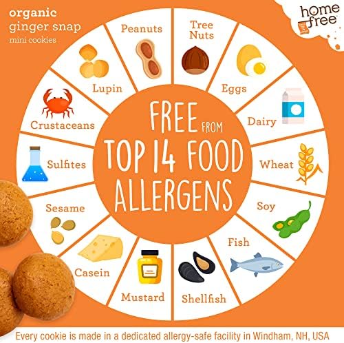 Homefree Mini Ginger Snap Cookies, Gluten Free, Nut Free, Vegan, School Safe and Allergy Friendly Snack, 5 oz. (Pack of 1)