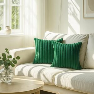 2-Piece Soft Plush Cushion Set – 40x40 cm Decorative Pillows (green)