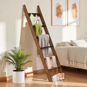 Blanket Ladder for Living Room