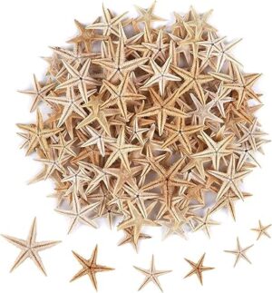 100 Pcs Small Starfish Sea Shells for Crafts, Spray Paintable, Perfect for Wedding Decor, Beach Party, Home Decoration, 0.4"-1.9"