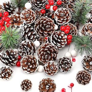 Christmas Decorations, 65Pcs Chritams Tree Decorations with 30 Christmas Pine Cones, 25Pcs Berry, 10Pcs Pine Branch for DIY Crafts, Home Decorations Xmas Tree Tag Gift Party Supplies