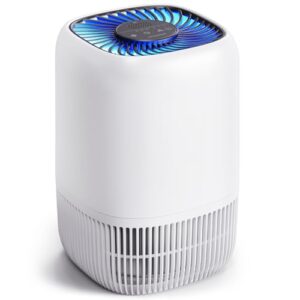 Air Purifiers for Home with H13 True HEPA Filter Up to 1076 Ft² for Pet Hair