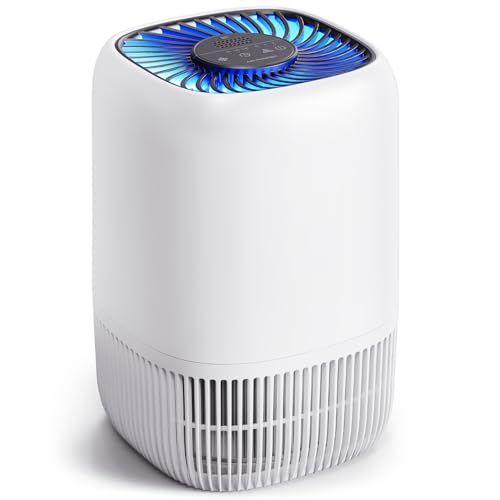 Air Purifiers for Home with H13 True HEPA Filter Up to 1076 Ft² for Pet Hair