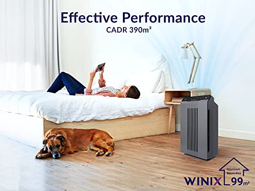Winix 5300-2 Air Purifier for Allergy Sufferers with H13 HEPA Air Filter for Allergies