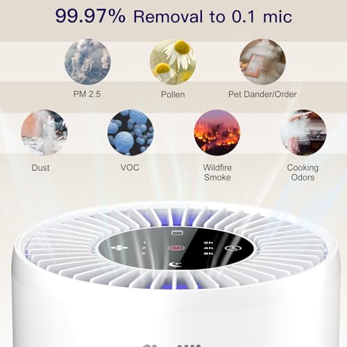 Air Purifiers for Bedroom with HEPA Filters