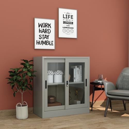 RIGID Steel Cupboard with 2 Compartments | Low Height Wardrobe with Glass Door & Adjustable Shelves | Sliding Door Storage Cabinet for Home, Office and Living Room (40D * 90W * 90H cm) (Grey)