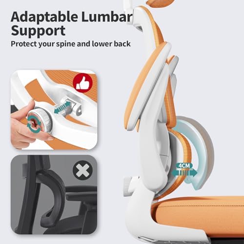 TRALT Office Chair Ergonomic Desk Chair, 330 LBS Home Mesh Office Desk Chairs with Wheels, Comfortable Gaming Chair, High Back Office Chair for Long Hours (Burnt Orange)