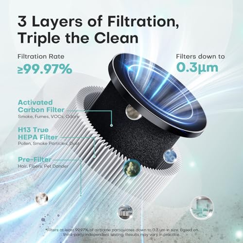 Air Purifiers for Home with H13 True HEPA Filter Up to 1076 Ft² for Pet Hair